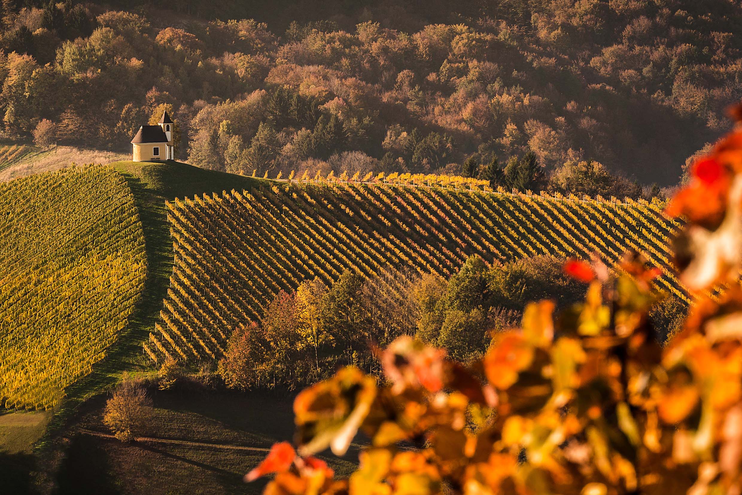 Weinbaugebiet Steiermark