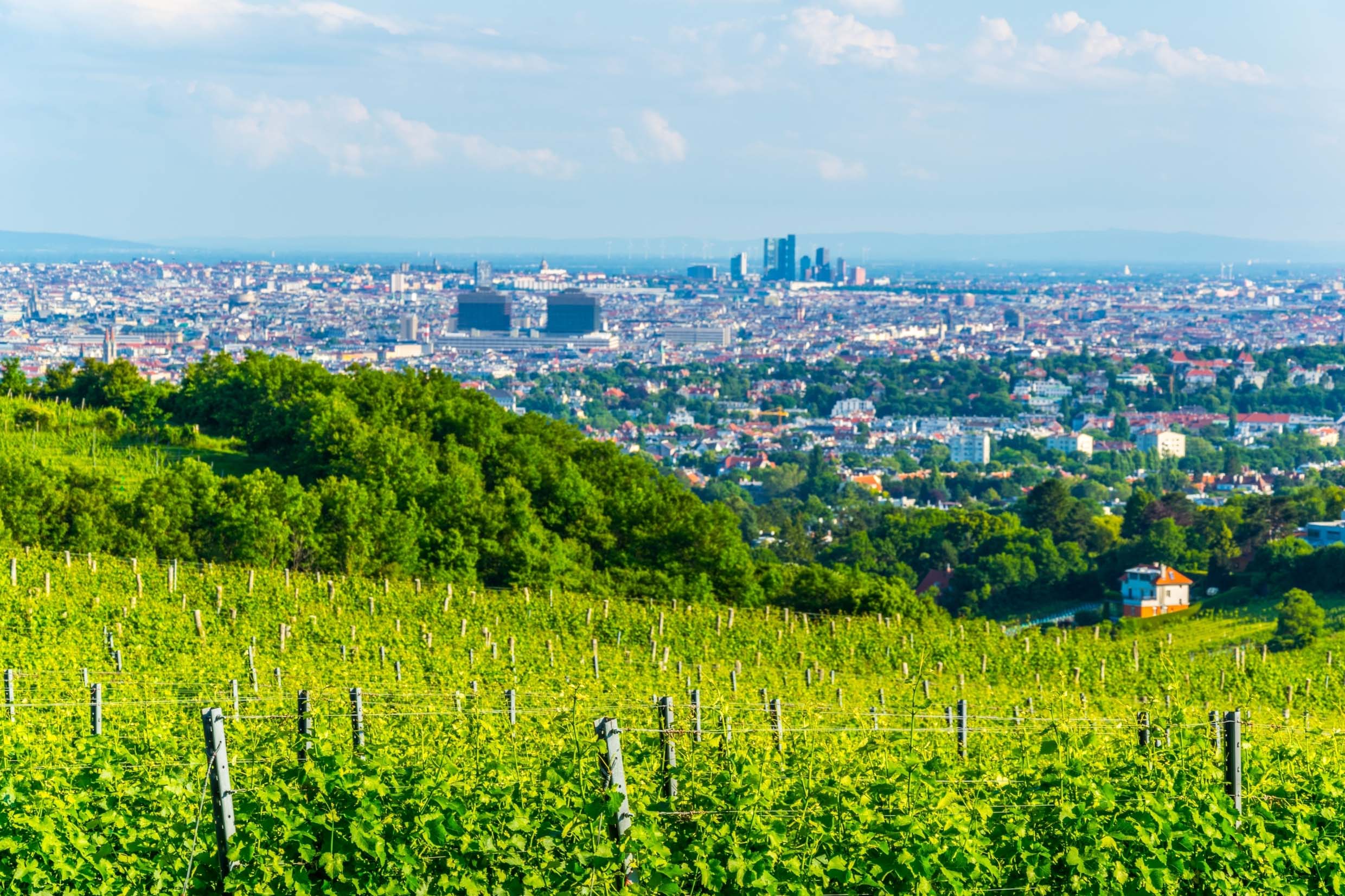 Weinbaugebiet Wien